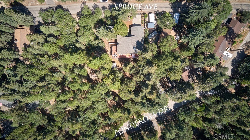 Angelus Oaks, California, 92305, United States, 4 Bedrooms Bedrooms, ,2 BathroomsBathrooms,Residential,Forsale,1960026 Angelus Oaks, California, 92305, United States, 4 Bedrooms Bedrooms, ,2 BathroomsBathrooms,Residential,Forsale,1960026