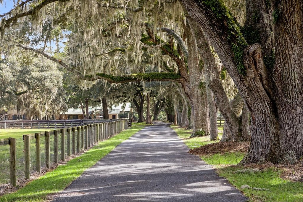 WILLISTON, Florida, 32696, United States, ,Commercial,Forsale,2004593