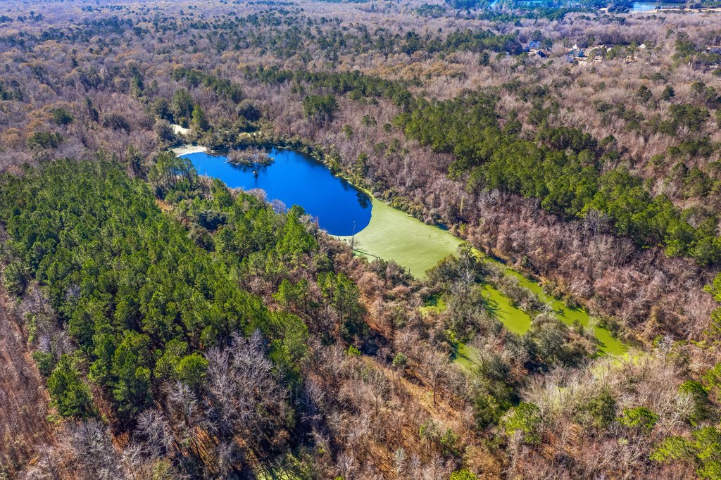 Summerville, South Carolina, 29485, United States, ,Land,Forsale,1883814