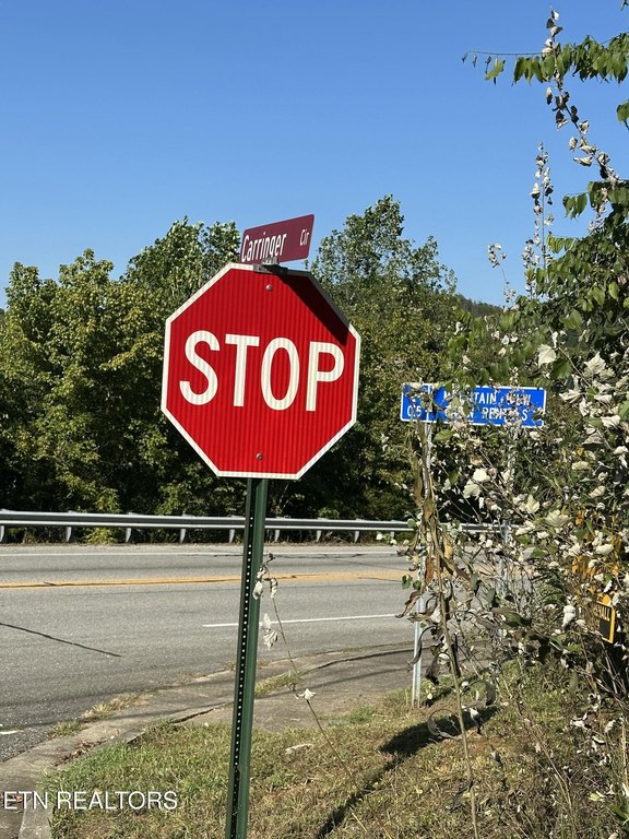 Tellico Plains, Tennessee, 37385, United States, ,Land,Forsale,1996595 Tellico Plains, Tennessee, 37385, United States, ,Land,Forsale,1996595