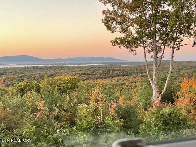 Crossville, Tennessee, 38558, United States, 4 Bedrooms Bedrooms, ,2.5 BathroomsBathrooms,Residential,Forsale,1929843