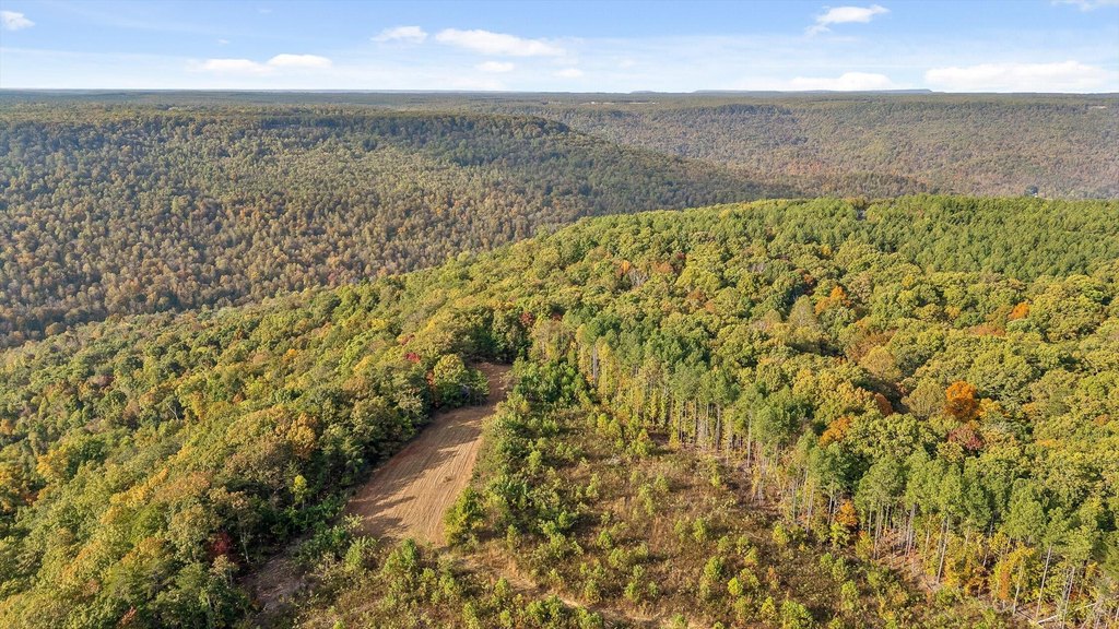 Spencer, Tennessee, 38585, United States, ,Land,Forsale,2009589