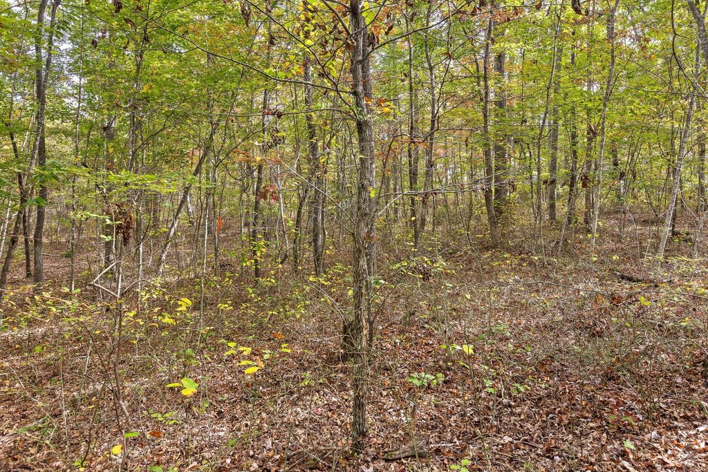 Spencer, Tennessee, 38585, United States, ,Land,Forsale,2009589