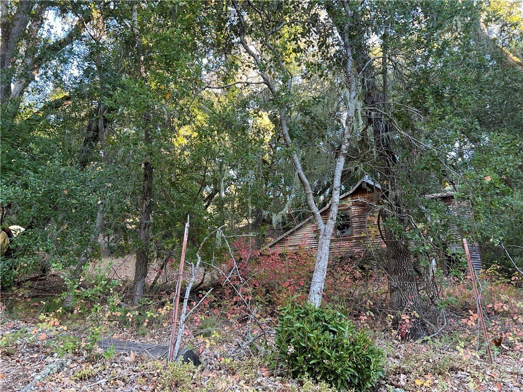 Templeton, California, 93465, United States, ,Land,Forsale,2009045