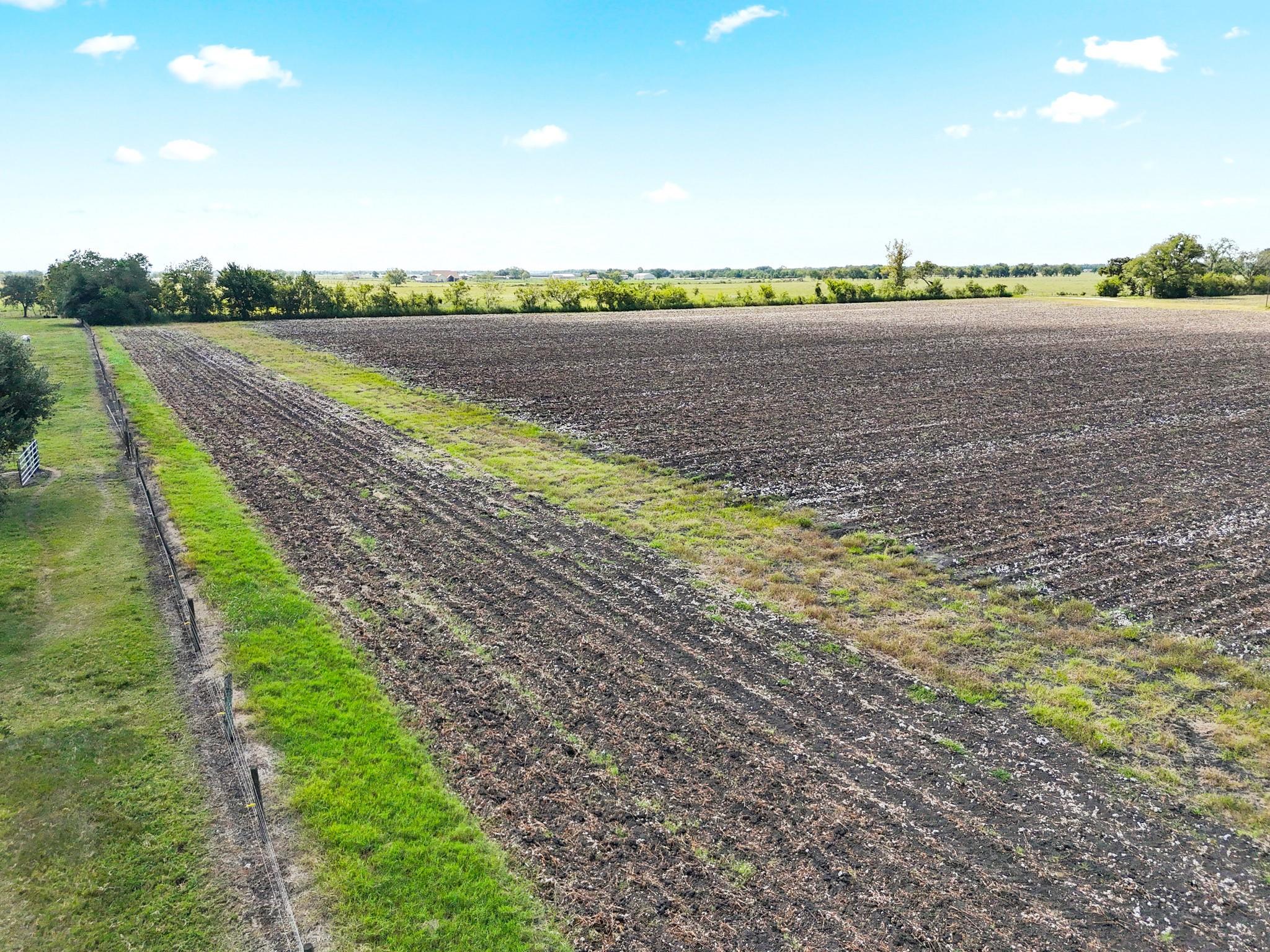 Needville, Texas, 77461, United States, ,Land,Forsale,1973438