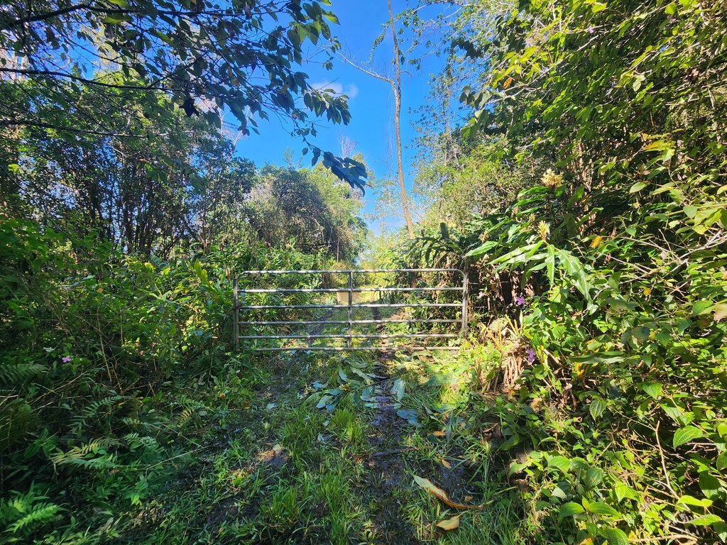 Captain Cook, Hawaii, 96704, United States, ,Land,Forsale,2004398