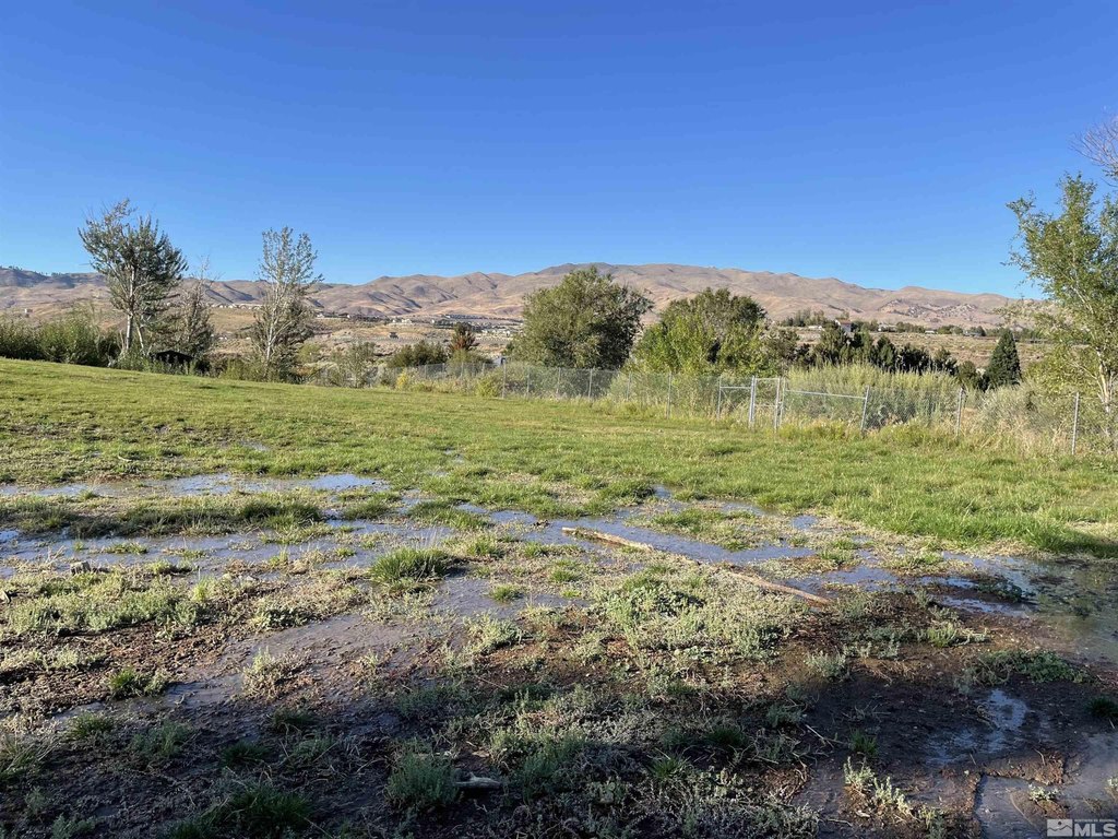 Reno, Nevada, 89523, United States, ,Land,Forsale,1954168