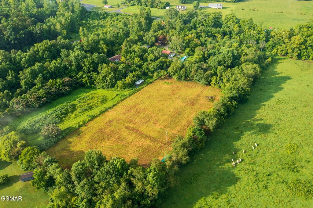 Sevierville, Tennessee, 37862, United States, ,Land,Forsale,1999463