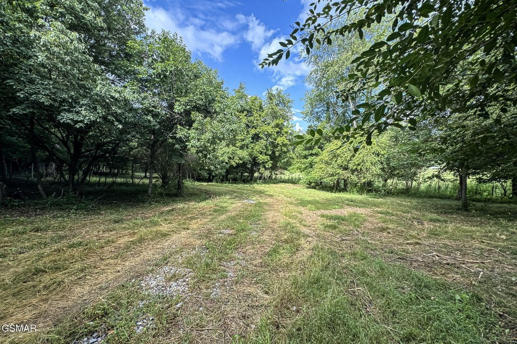 Sevierville, Tennessee, 37862, United States, ,Land,Forsale,1999463