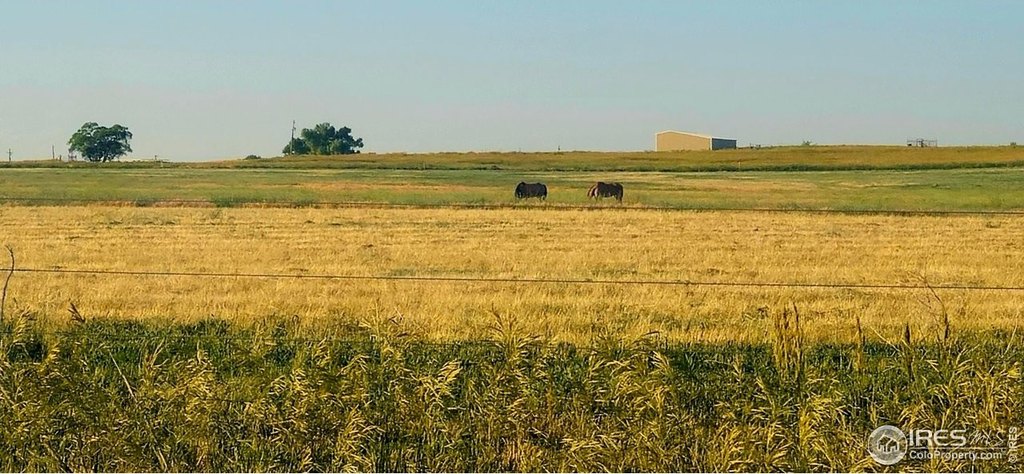 La Salle, Colorado, 80645, United States, ,Land,Forsale,2000012