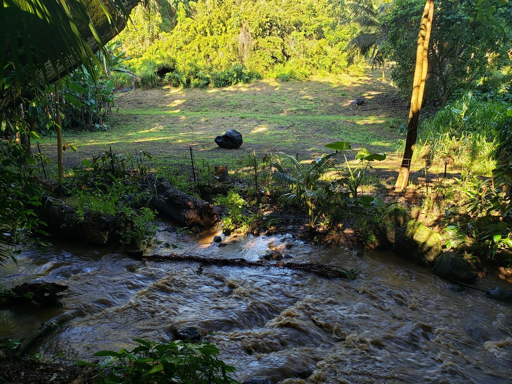 Kapaau, Hawaii, 96755, United States, 2 Bedrooms Bedrooms, ,1 BathroomBathrooms,Residential,Forsale,2004383