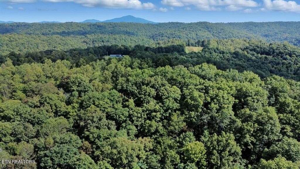 Lancing, Tennessee, 37770, United States, ,Land,Forsale,1999441