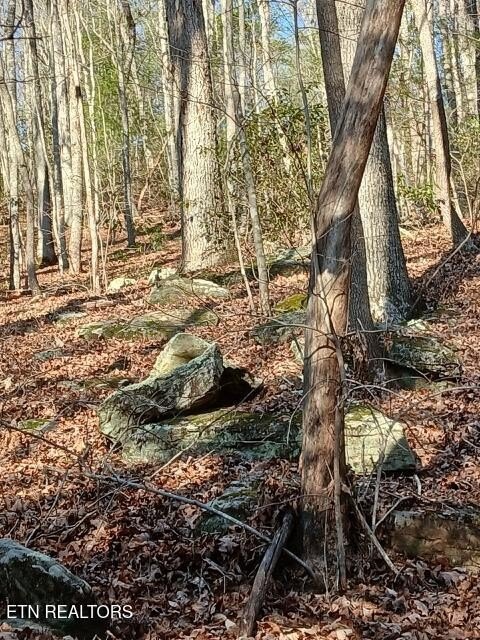 Lancing, Tennessee, 37770, United States, ,Land,Forsale,1999441