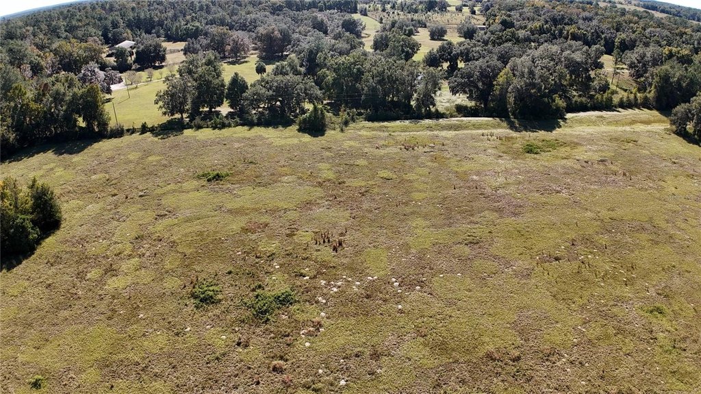 OCALA, Florida, 34482, United States, ,Land,Forsale,1994133