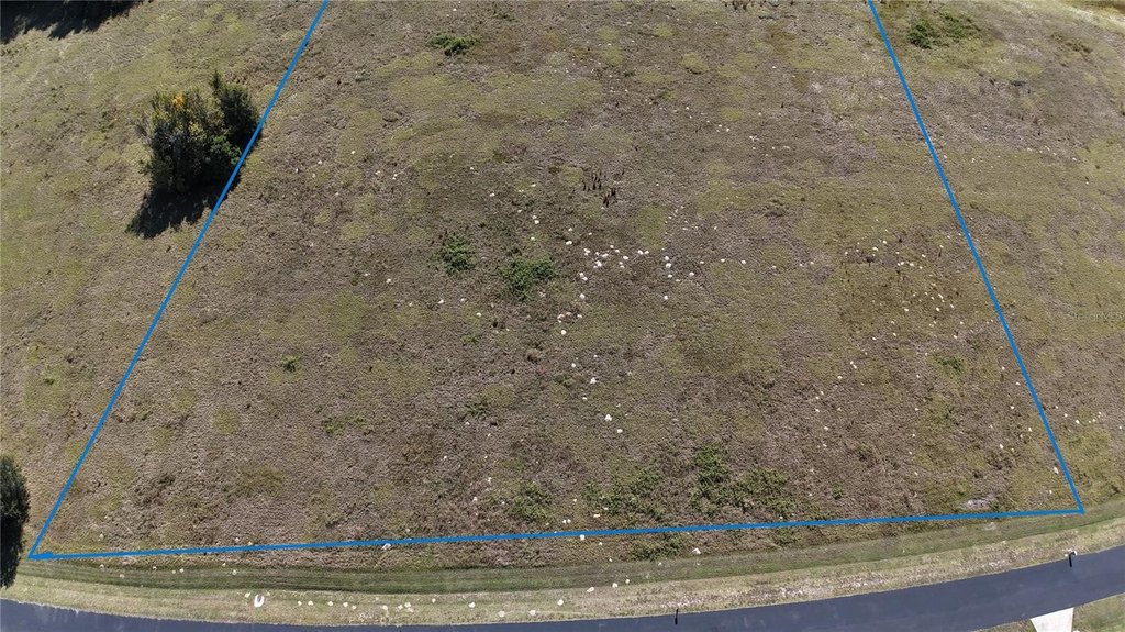 OCALA, Florida, 34482, United States, ,Land,Forsale,1994133