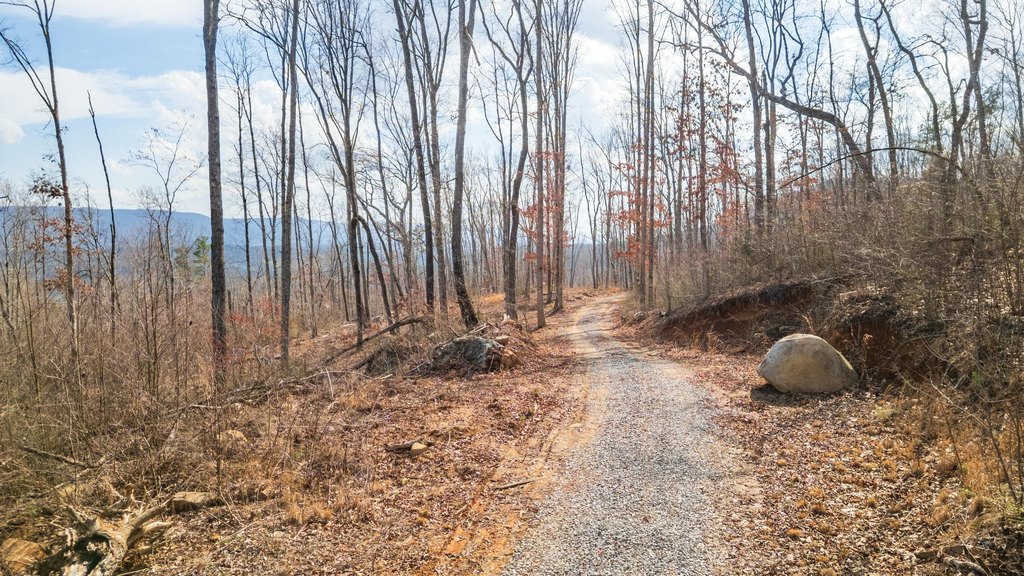 Pikeville, Tennessee, 37367, United States, ,Land,Forsale,2004680