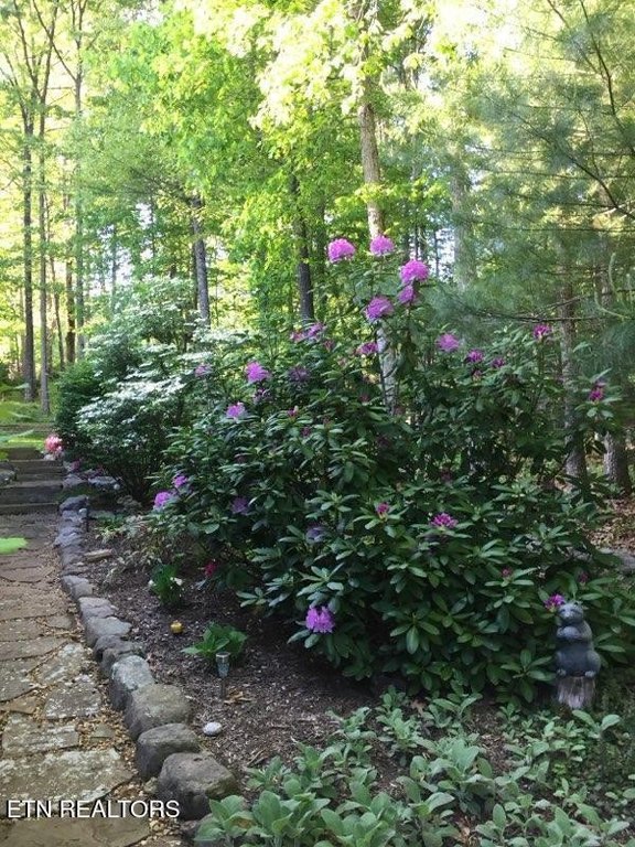 Fairfield Glade, Tennessee, 38558, United States, 3 Bedrooms Bedrooms, ,2 BathroomsBathrooms,Residential,Forsale,1996600