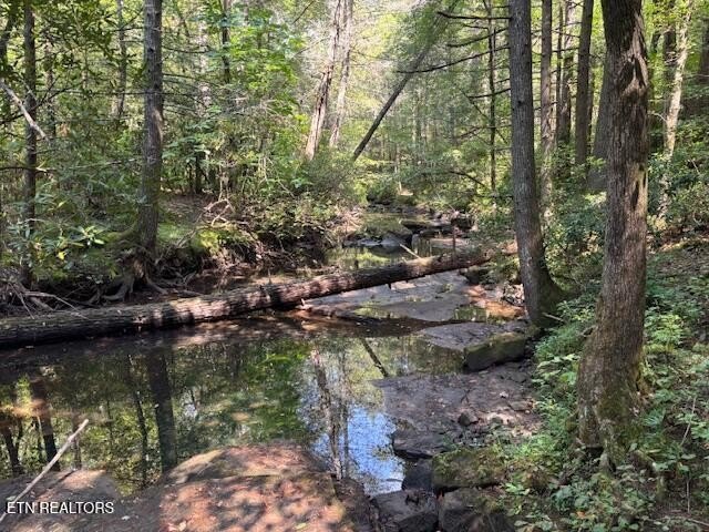 Crossville, Tennessee, 38558, United States, 3 Bedrooms Bedrooms, ,2.5 BathroomsBathrooms,Residential,Forsale,1968509