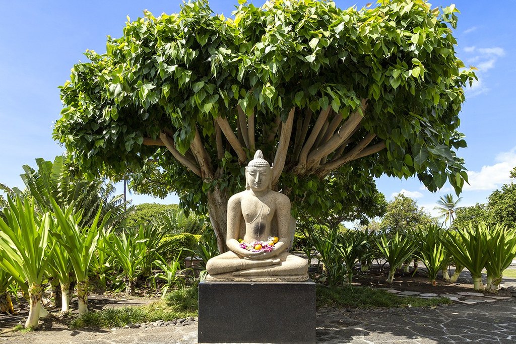 Kamuela, Hawaii, 96743, United States, 2 Bedrooms Bedrooms, ,2 BathroomsBathrooms,Residential,Forsale,2004410