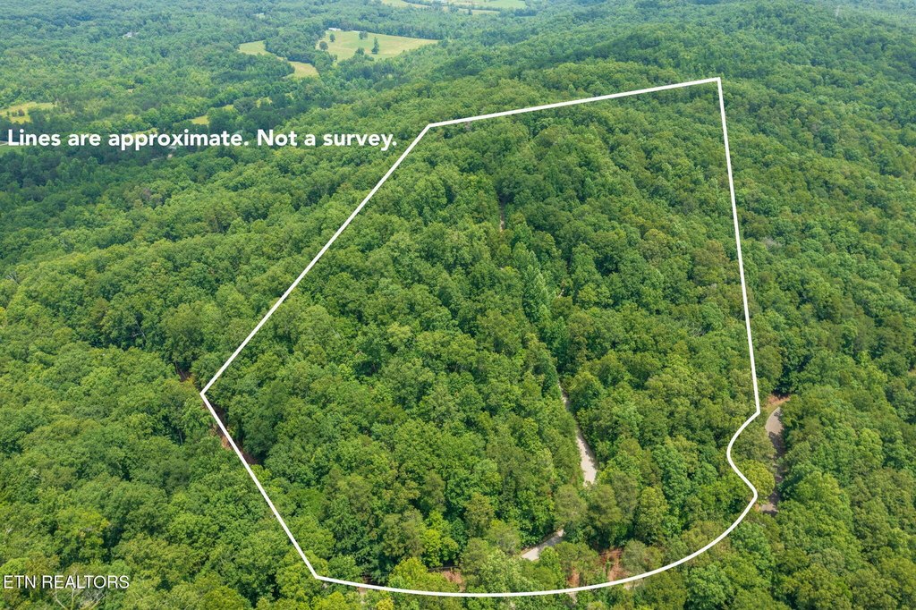 Kingston, Tennessee, 37763, United States, 4 Bedrooms Bedrooms, ,3.5 BathroomsBathrooms,Residential,Forsale,1893802