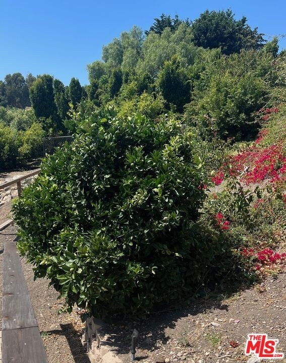 Malibu, California, 90265, United States, ,Land,Forsale,2001392