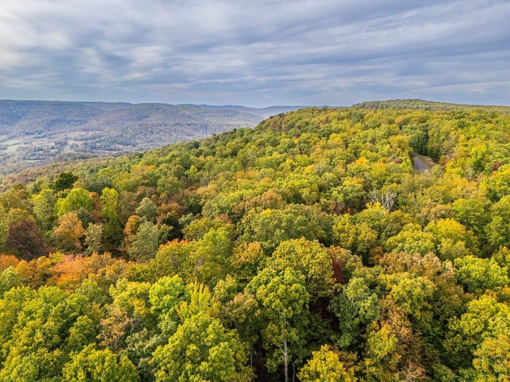 MONTEREY, Tennessee, 38574, United States, 3 Bedrooms Bedrooms, ,2 BathroomsBathrooms,Residential,Forsale,1907888