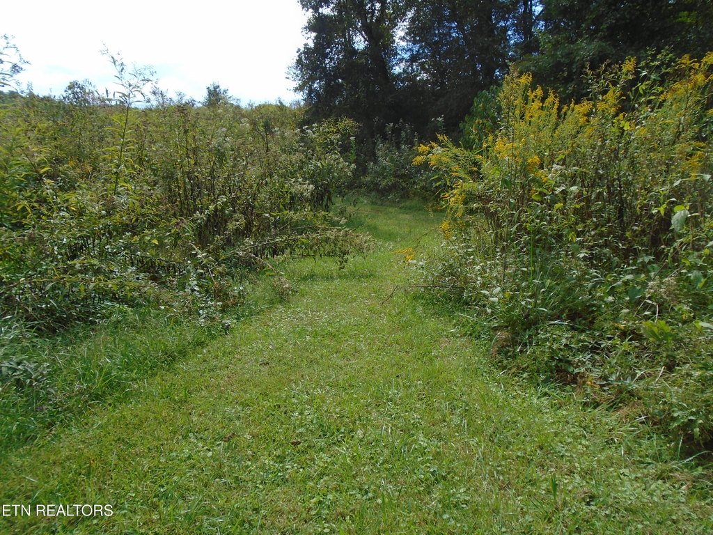 Friendsville, Tennessee, 37737, United States, 3 Bedrooms Bedrooms, ,2 BathroomsBathrooms,Residential,Forsale,1973588