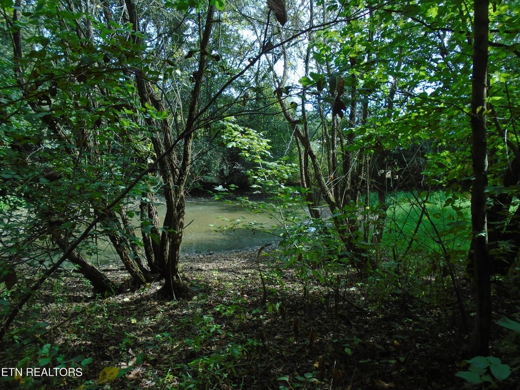 Friendsville, Tennessee, 37737, United States, 3 Bedrooms Bedrooms, ,2 BathroomsBathrooms,Residential,Forsale,1973588