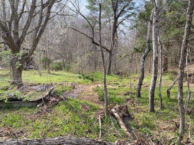 Hilham, Tennessee, 38568, United States, ,Land,Forsale,1999489