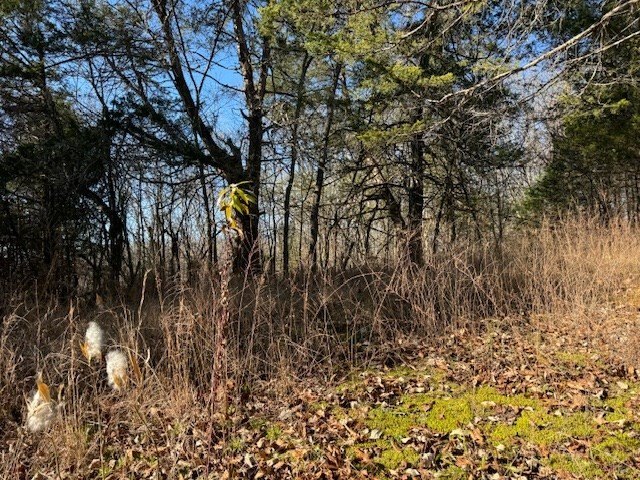 Celina, Tennessee, 38551, United States, ,Land,Forsale,1999487