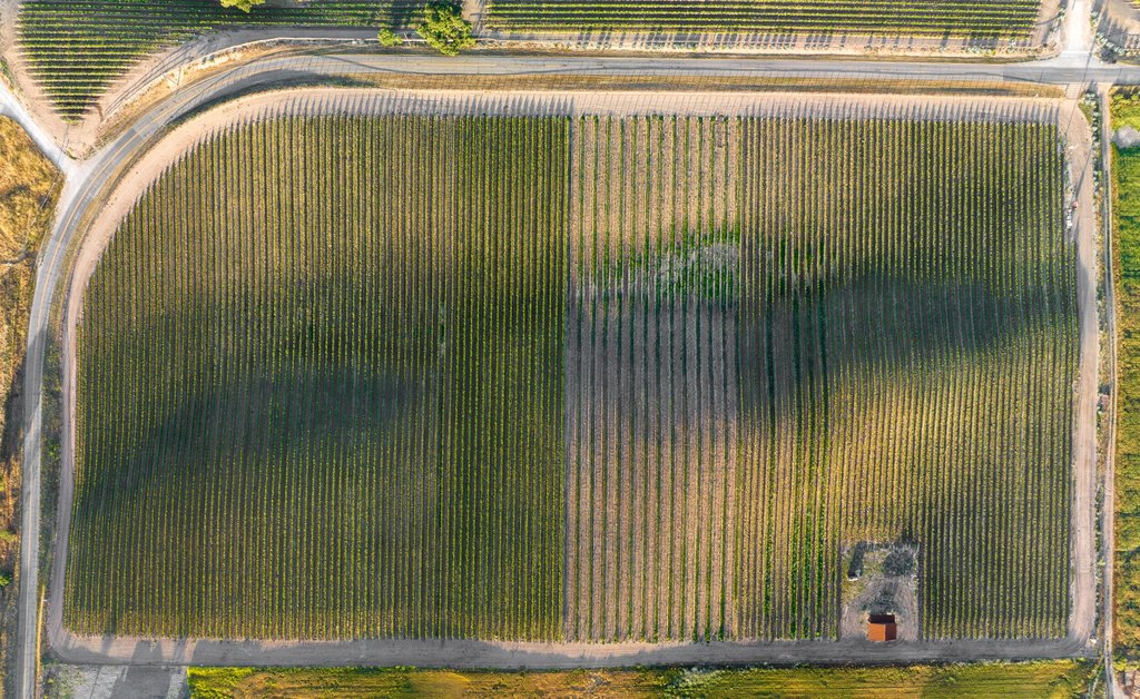 SANTA YNEZ, California, 93460, United States, ,Land,Forsale,1985949