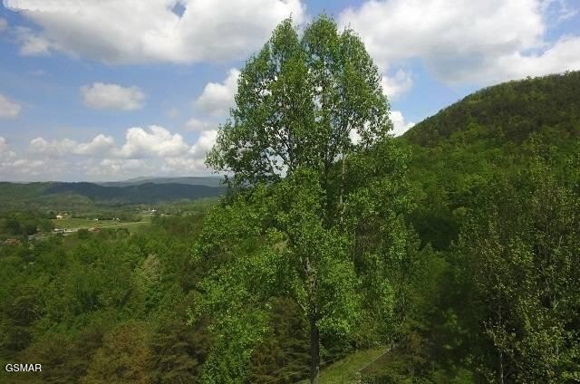 Sevierville, Tennessee, 37862, United States, 3 Bedrooms Bedrooms, ,3 BathroomsBathrooms,Residential,Forsale,1910187