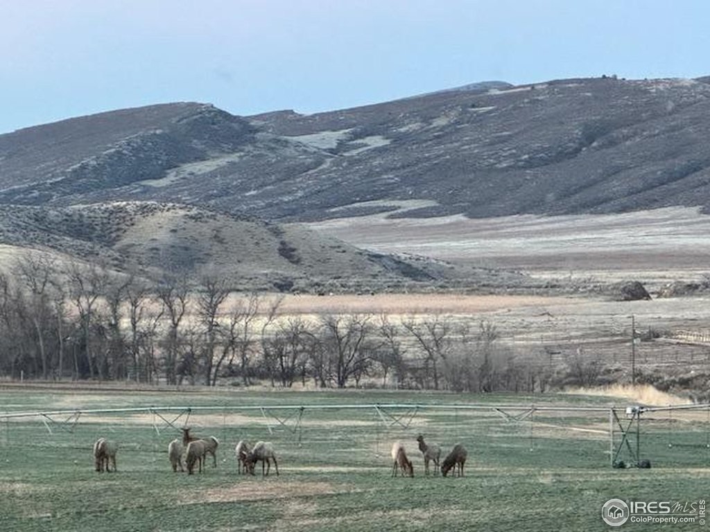 Wellington, Colorado, 80549, United States, 3 Bedrooms Bedrooms, ,2.5 BathroomsBathrooms,Residential,Forsale,2014285