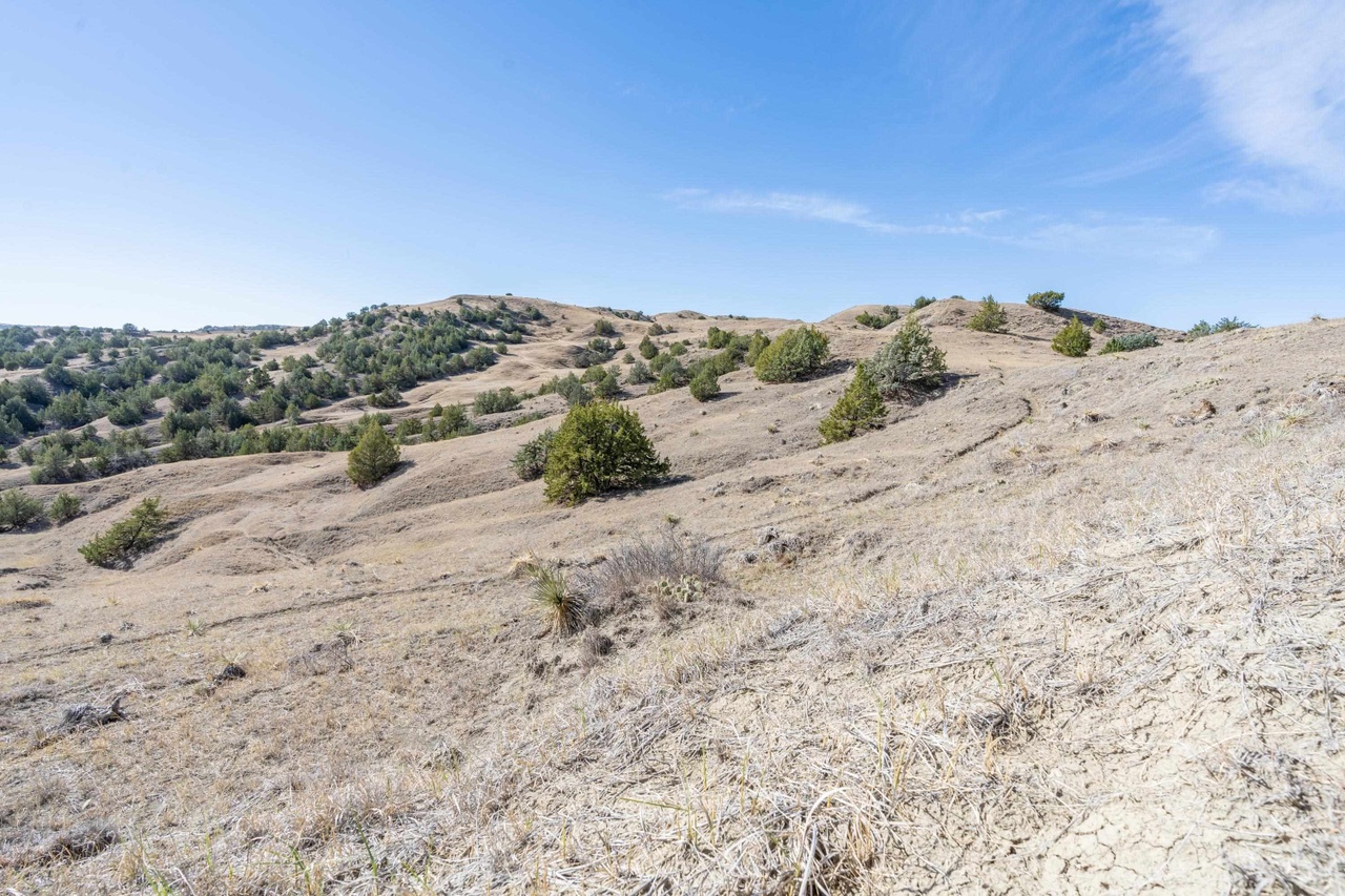 Milesville, South Dakota, 57553, United States, 4 Bedrooms Bedrooms, ,4 BathroomsBathrooms,Residential,Forsale,1962262