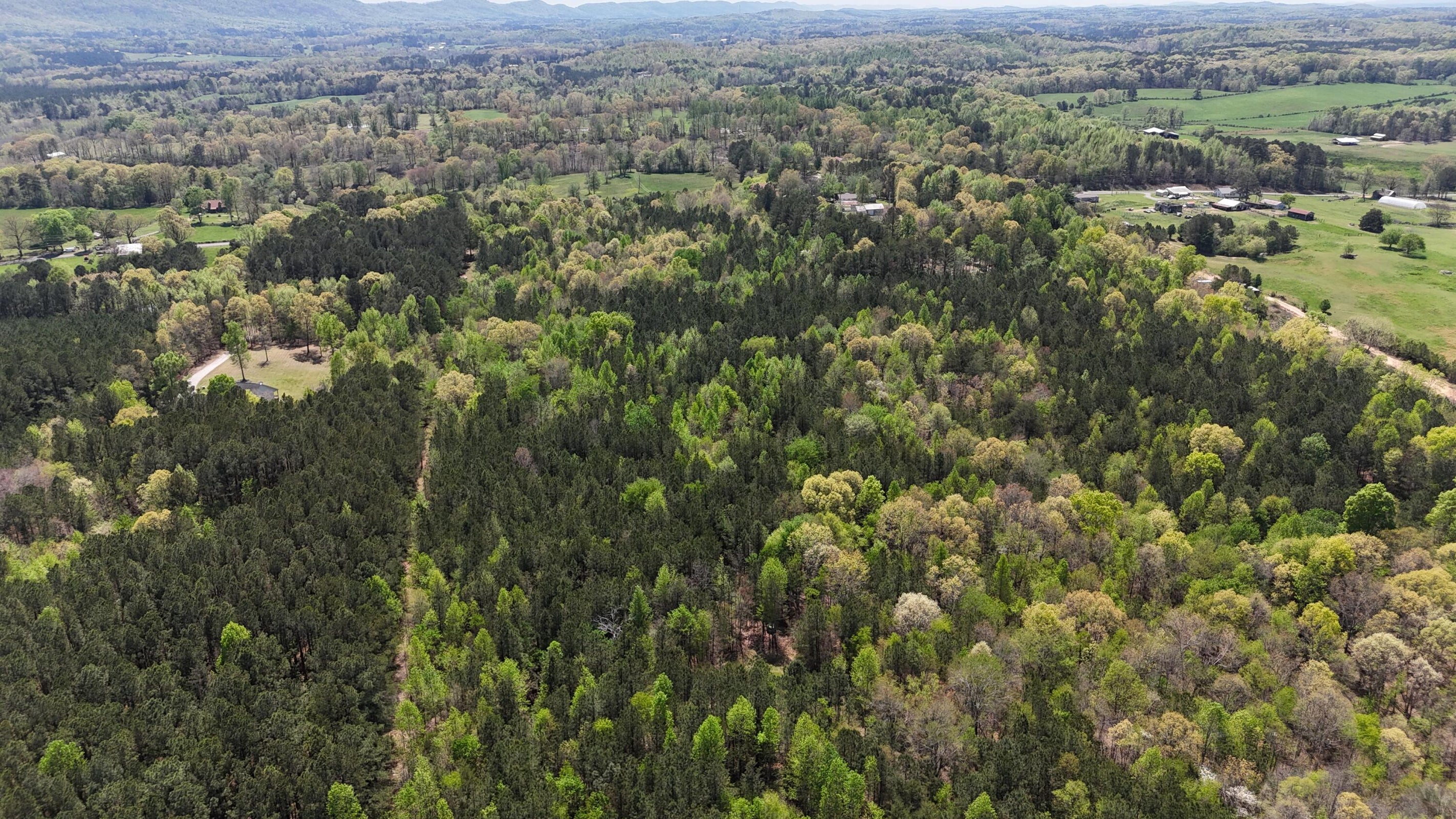 Rock Spring, Georgia, 30739, United States, ,Land,Forsale,1963613