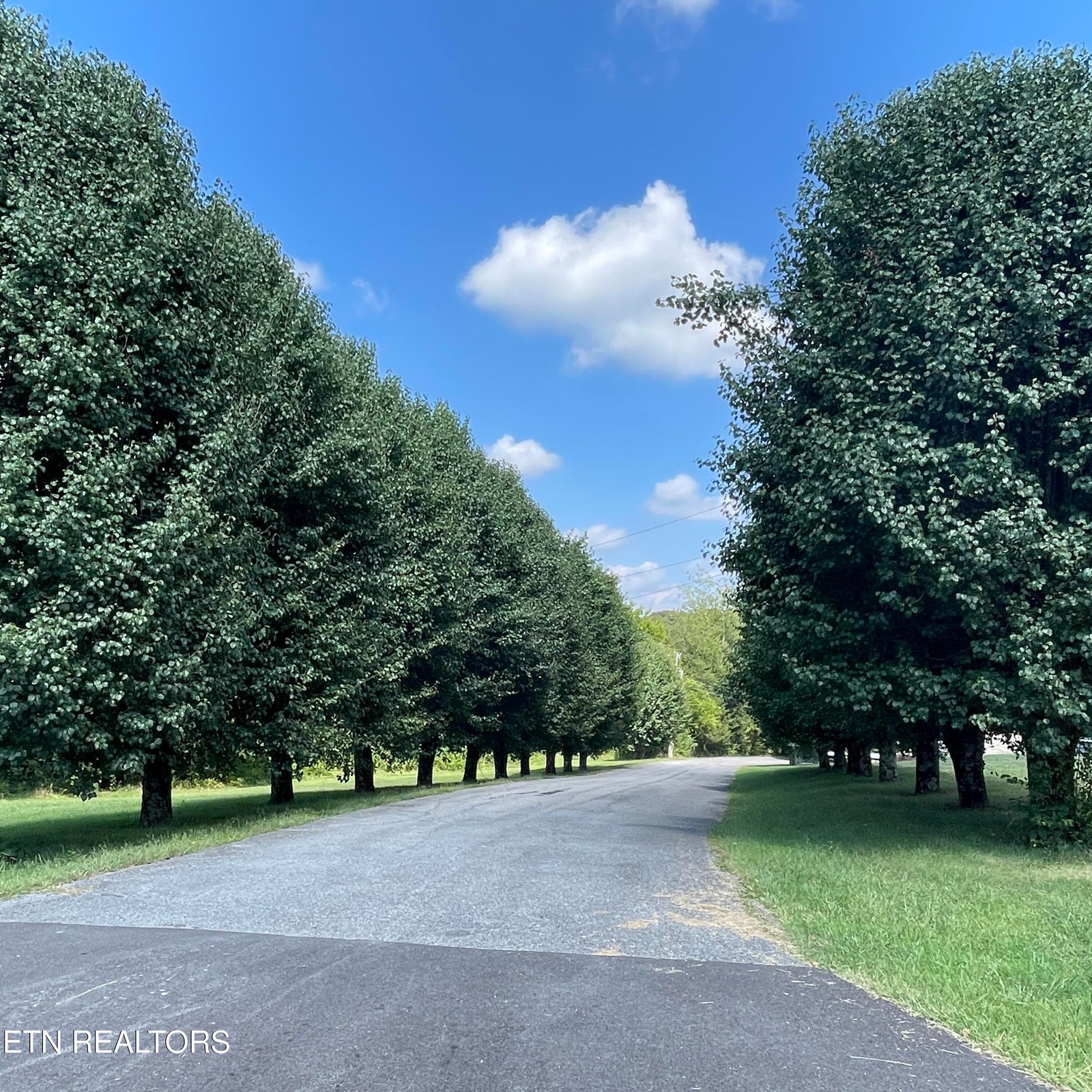 Kodak, Tennessee, 37764, United States, 2 Bedrooms Bedrooms, ,2 BathroomsBathrooms,Residential,Forsale,1973589