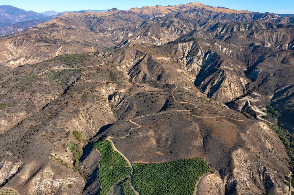 FILLMORE, California, 93015, United States, ,Commercial,Forsale,1964338