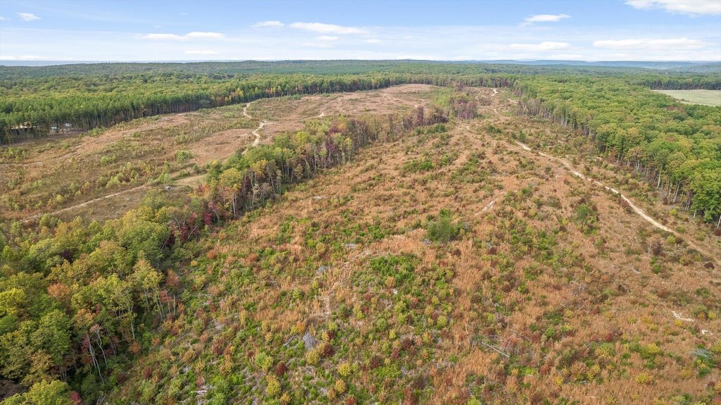 Spencer, Tennessee, 38585, United States, ,Land,Forsale,2009589