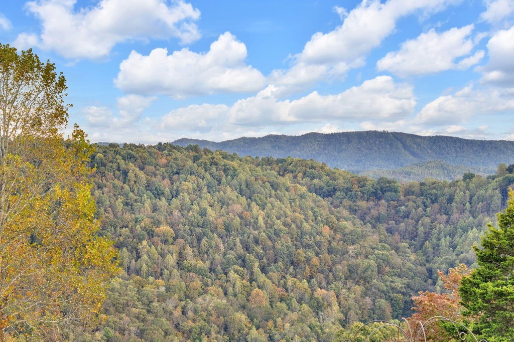 Sneedville, Tennessee, 37869, United States, 4 Bedrooms Bedrooms, ,3 BathroomsBathrooms,Residential,Forsale,1988736