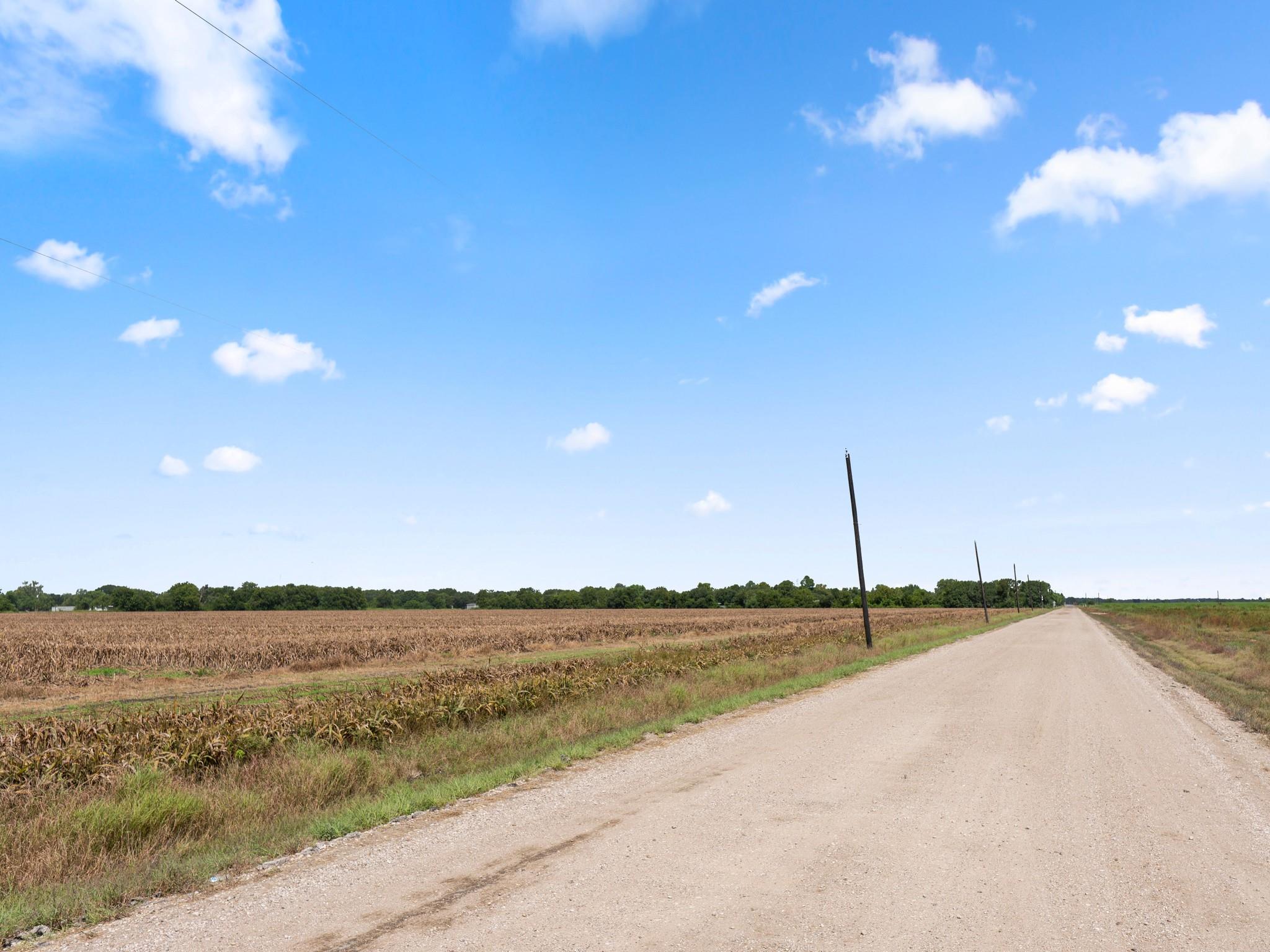 Needville, Texas, 77461, United States, ,Land,Forsale,1973439