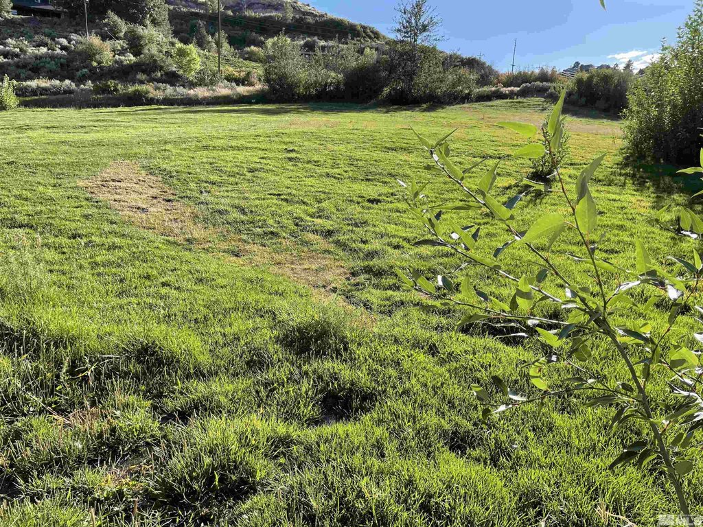 Reno, Nevada, 89523, United States, ,Land,Forsale,1954168