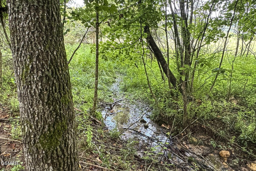 Sevierville, Tennessee, 37862, United States, ,Land,Forsale,1999463