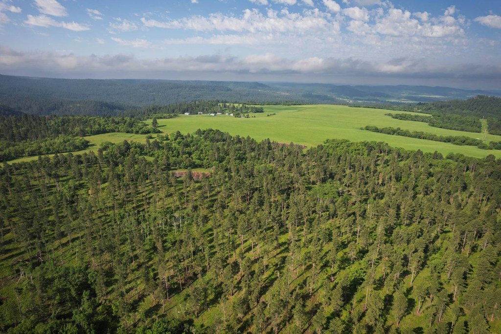 Hulett, Wyoming, 82720, United States, 3 Bedrooms Bedrooms, ,2 BathroomsBathrooms,Residential,Forsale,2004328