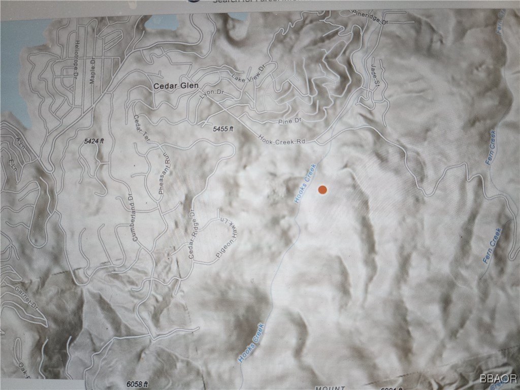 Cedar Glen, California, 92321, United States, ,Land,Forsale,2004858