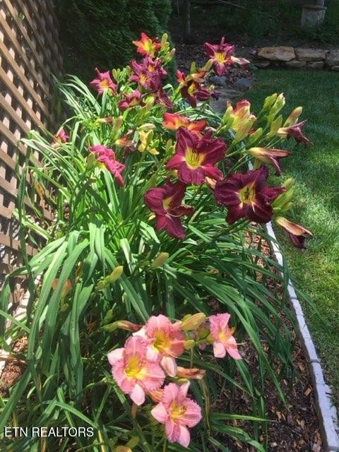 Fairfield Glade, Tennessee, 38558, United States, 3 Bedrooms Bedrooms, ,2 BathroomsBathrooms,Residential,Forsale,1996600