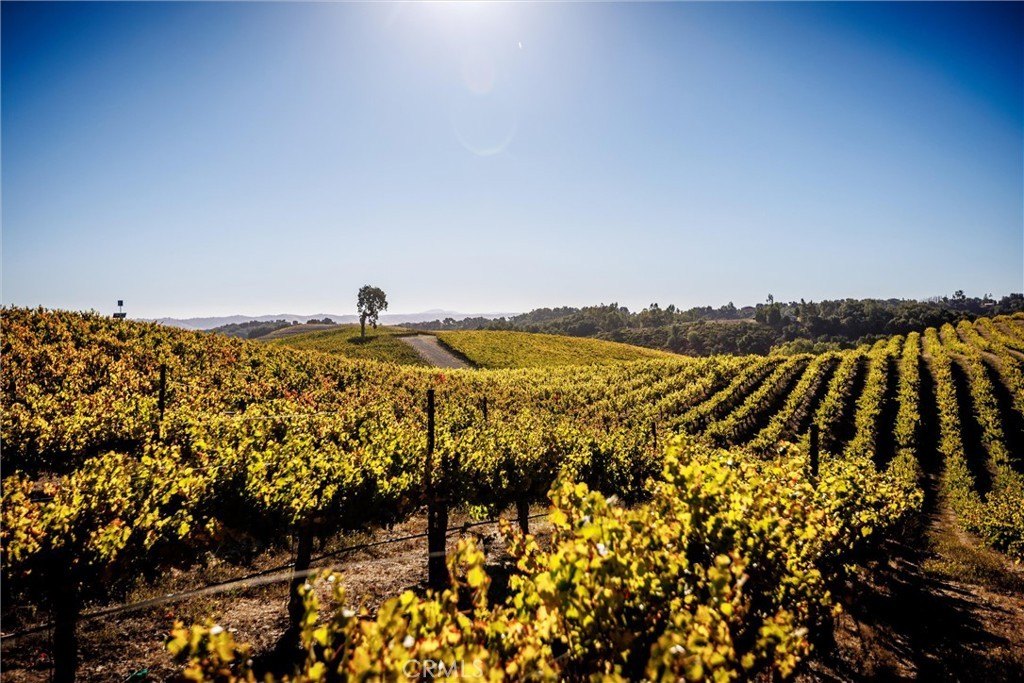 Paso Robles, California, 93446, United States, ,Land,Forsale,1997699