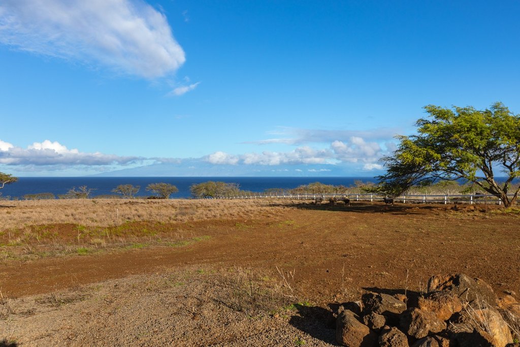 Hawi, Hawaii, 96719, United States, ,Land,Forsale,2004411