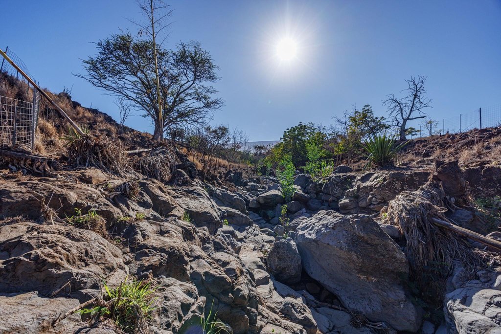 Kula, Hawaii, 96790, United States, ,Land,Forsale,2004556