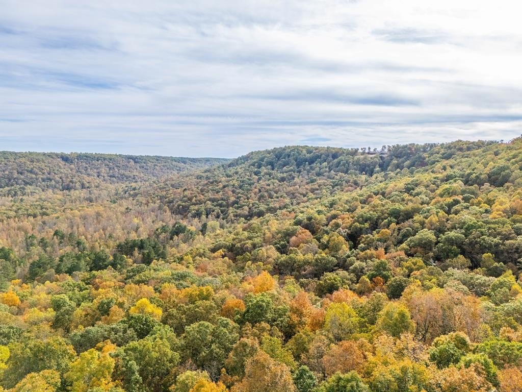 MONTEREY, Tennessee, 38574, United States, 3 Bedrooms Bedrooms, ,2 BathroomsBathrooms,Residential,Forsale,1907888