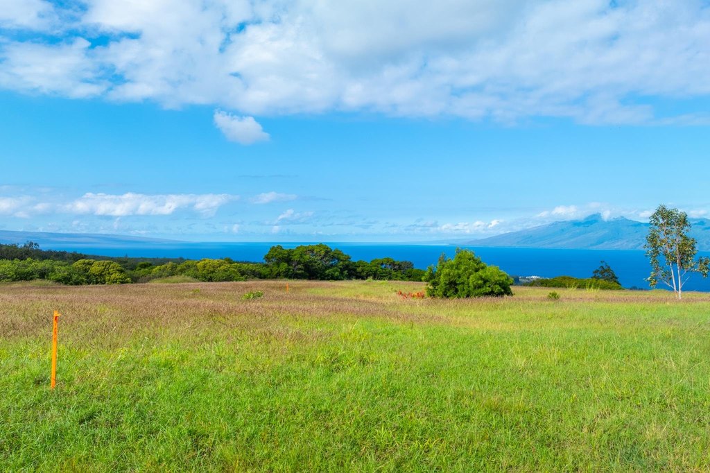 Lahaina, Hawaii, 96761, United States, ,Land,Forsale,2009551